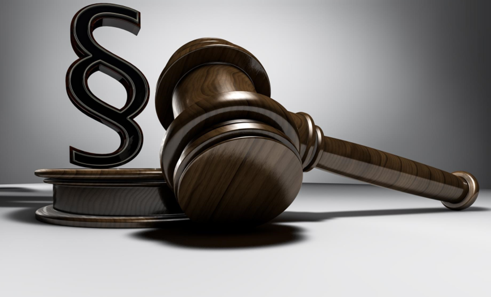 Basiswissen Vergaberecht für Einsteiger